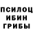 Псилоцибиновые грибы прущие грибы 111mzz