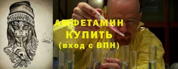 сатива Новодвинск