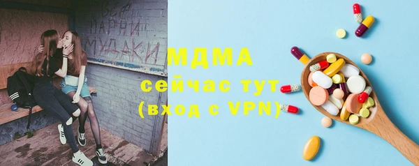 сатива Новодвинск