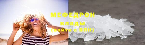 сатива Новодвинск