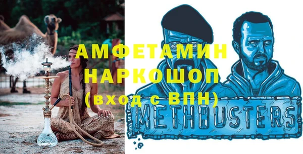 сатива Новодвинск