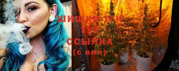 сатива Новодвинск