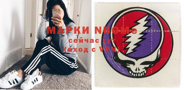 сатива Новодвинск