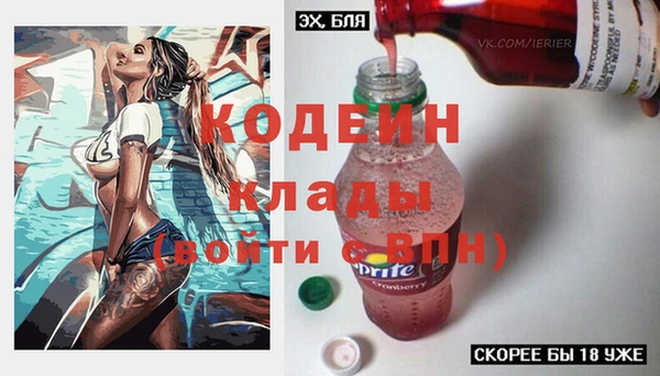 сатива Новодвинск