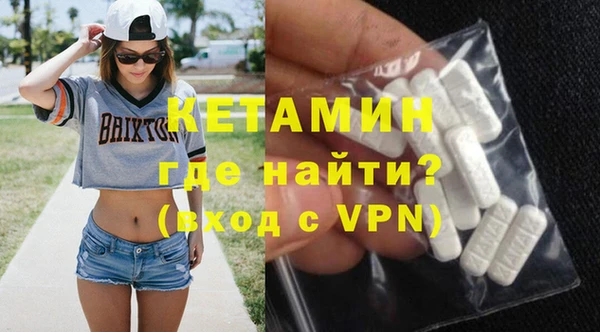 сатива Новодвинск
