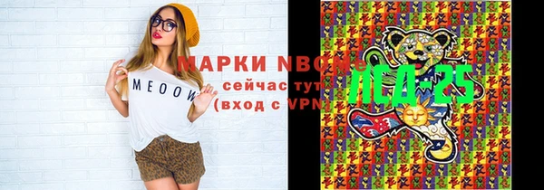 сатива Новодвинск