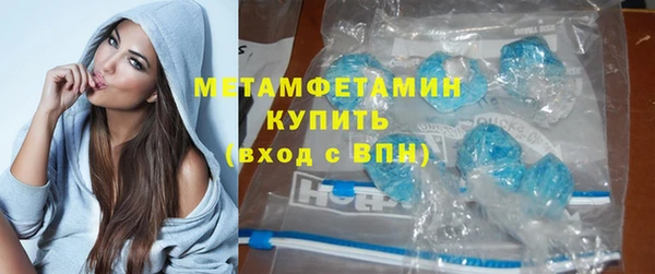сатива Новодвинск
