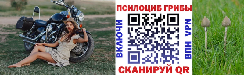 Галлюциногенные грибы Psilocybine cubensis  площадка официальный сайт  Шенкурск 